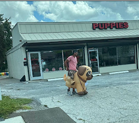 Rodney Platthy, arrested for battery by strangulation while wearing a puppy costume in Clearwater, Florida.