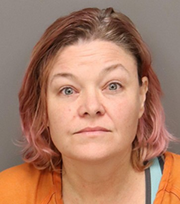 Booking photo of Marcia Morgan, charged with disorderly conduct and resisting arrest after toilet-papering a car while wearing a hot dog costume in St. Petersburg.