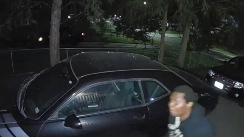 Woman accused of slashing tires in Waldo arrested