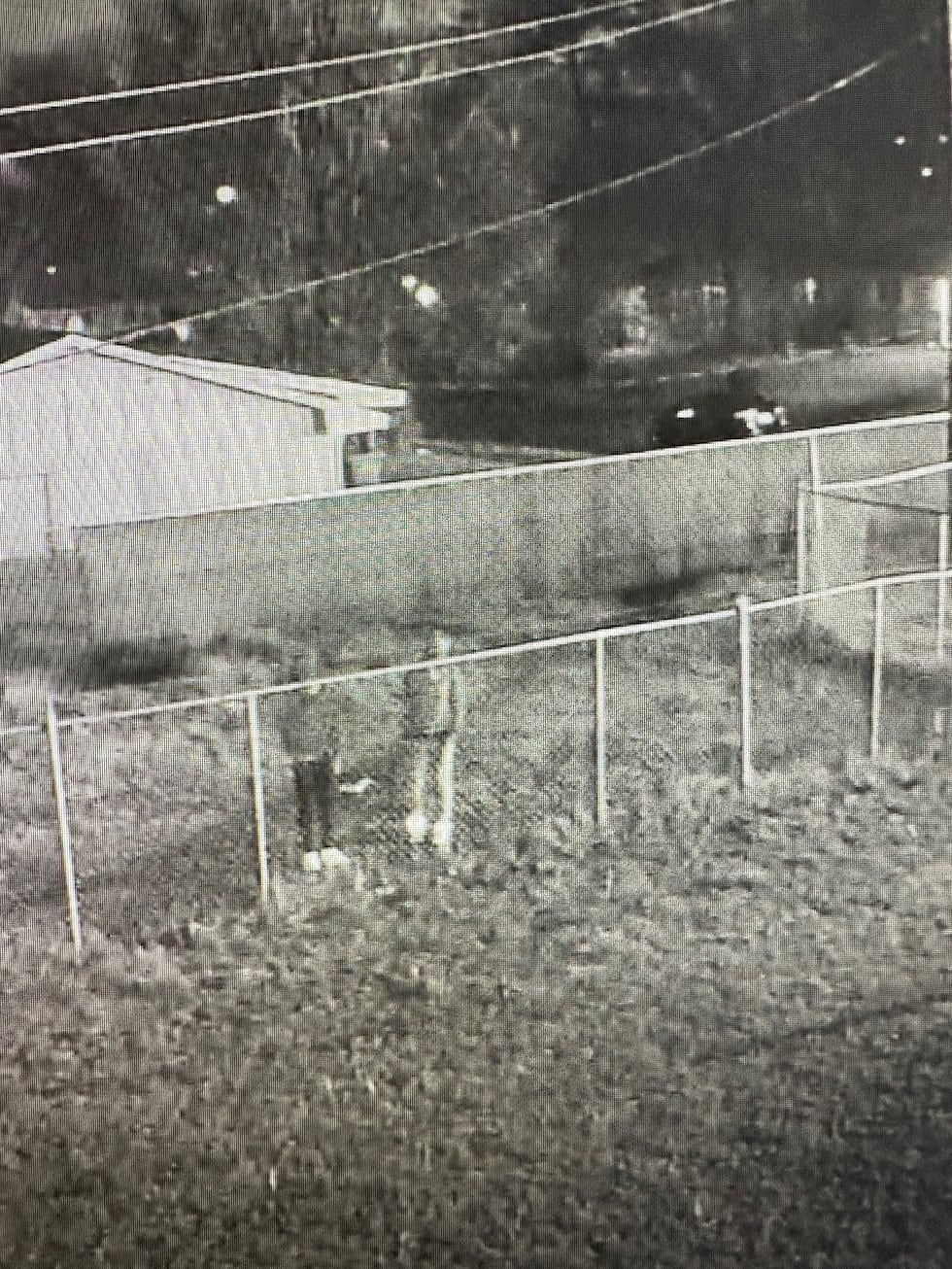 The suspects in Yvette Carter's homicide were wearing hooded sweatshirts. One suspect was seen...