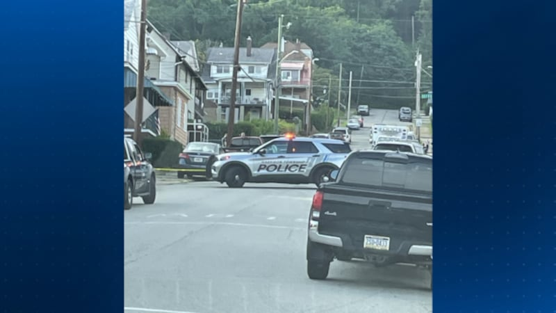 Large police presence at incident in Tarentum